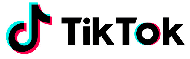 Link To TikTok